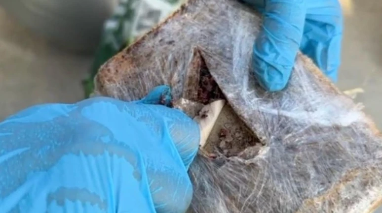 Pul biber içinde 6765 gram eroin yakalandı