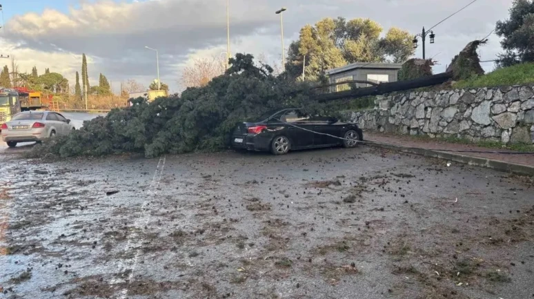 Gebze’de fırtına iki aracı hasara uğrattı